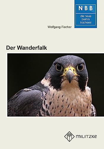 Der Wanderfalk: Falco peregrinus und Falco pelegrinoides von Wolf, VerlagsKG